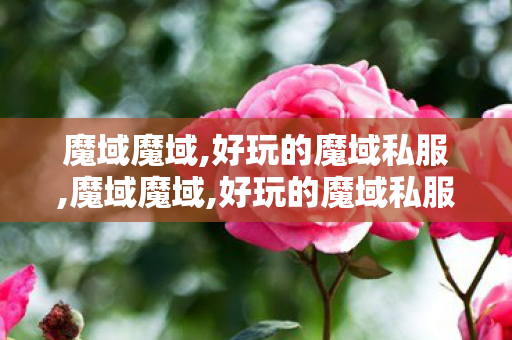 魔域魔域,好玩的魔域私服,魔域魔域,好玩的魔域私服