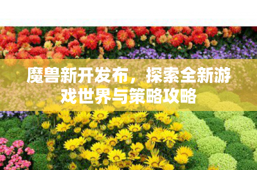 魔兽新开发布，探索全新游戏世界与策略攻略