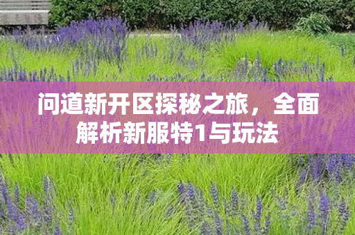 问道新开区探秘之旅，全面解析新服特1与玩法