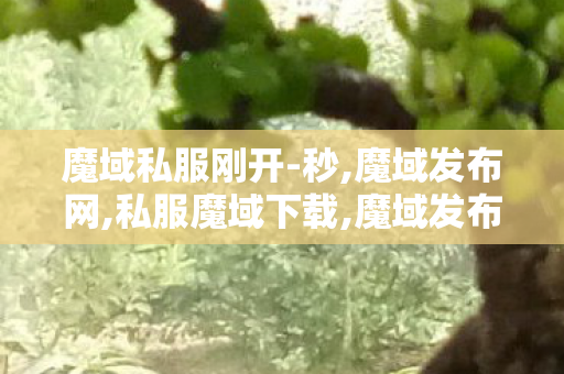 魔域私服刚开-秒,魔域发布网,私服魔域下载,魔域发布网