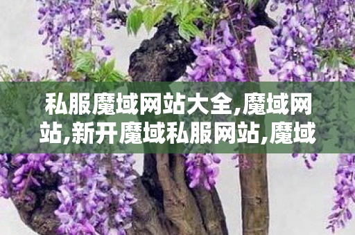 私服魔域网站大全,魔域网站,新开魔域私服网站,魔域网站
