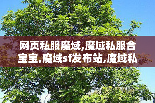 网页私服魔域,魔域私服合宝宝,魔域sf发布站,魔域私服合宝宝