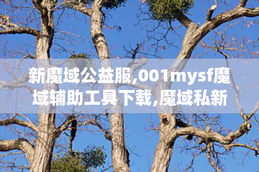 新魔域公益服,001mysf魔域辅助工具下载,魔域私新开,001mysf魔域辅助工具下载
