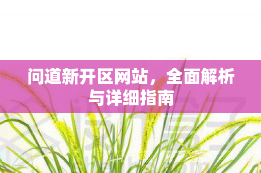 问道新开区网站，全面解析与详细指南