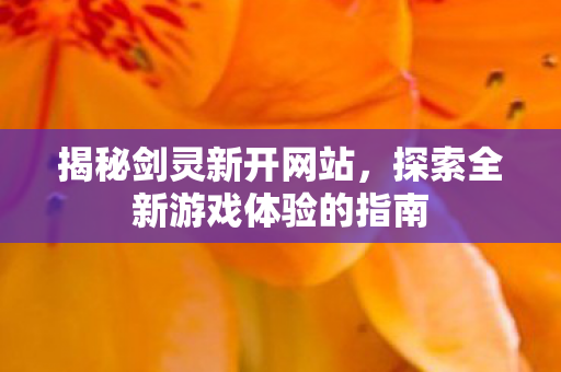 揭秘剑灵新开网站，探索全新游戏体验的指南