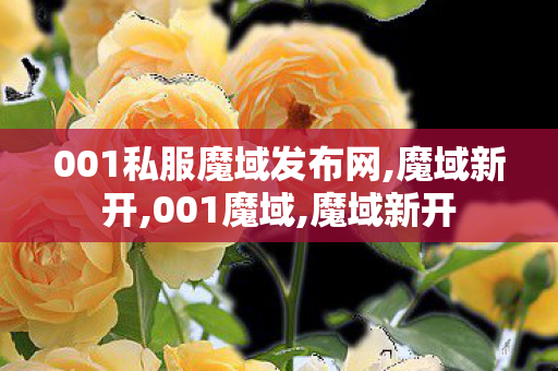 001私服魔域发布网,魔域新开,001魔域,魔域新开