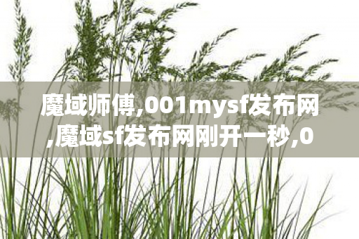 魔域师傅,001mysf发布网,魔域sf发布网刚开一秒,001mysf发布网