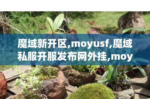 魔域新开区,moyusf,魔域私服开服发布网外挂,moyusf