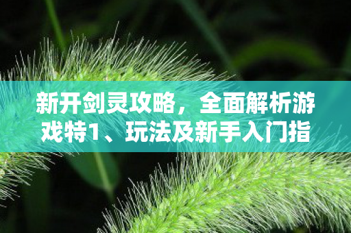 新开剑灵攻略，全面解析游戏特1、玩法及新手入门指南