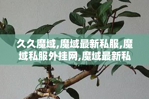 久久魔域,魔域最新私服,魔域私服外挂网,魔域最新私服