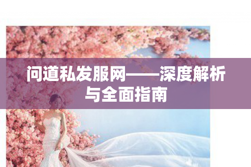 问道私发服网——深度解析与全面指南