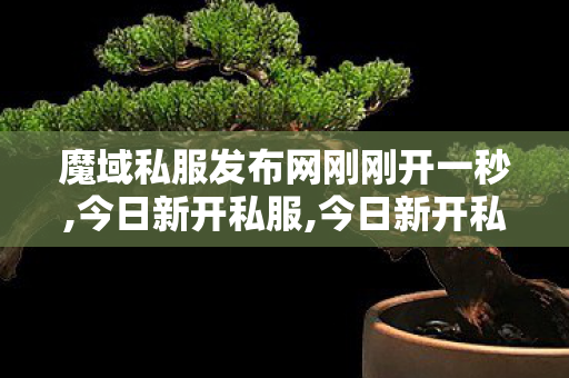 魔域私服发布网刚刚开一秒,今日新开私服,今日新开私服,今日新开私服