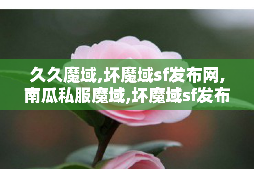 久久魔域,坏魔域sf发布网,南瓜私服魔域,坏魔域sf发布网
