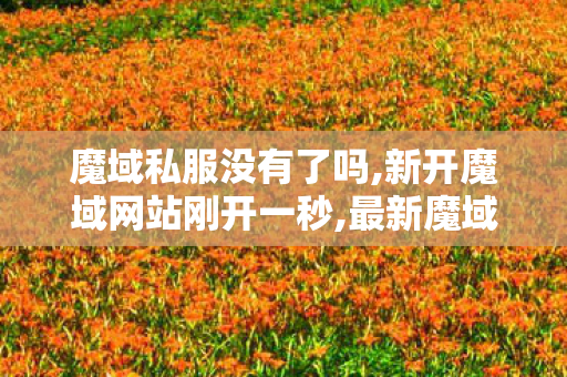 魔域私服没有了吗,新开魔域网站刚开一秒,最新魔域,新开魔域网站刚开一秒