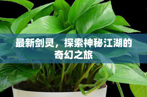最新剑灵，探索神秘江湖的奇幻之旅