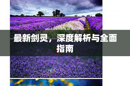 最新剑灵，深度解析与全面指南