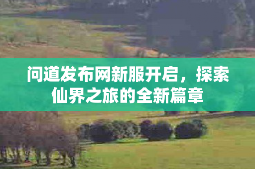 问道发布网新服开启，探索仙界之旅的全新篇章