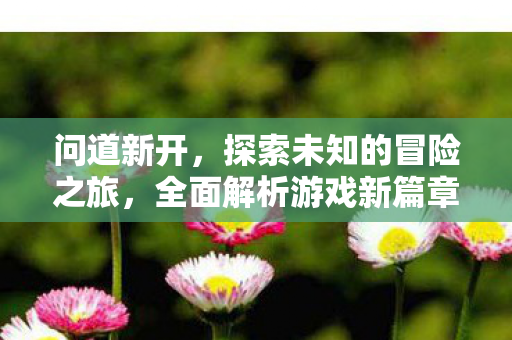 问道新开，探索未知的冒险之旅，全面解析游戏新篇章