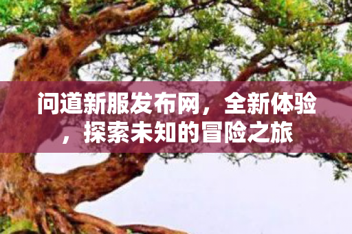 问道新服发布网，全新体验，探索未知的冒险之旅