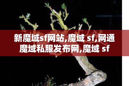 新魔域sf网站,魔域 sf,网通魔域私服发布网,魔域 sf