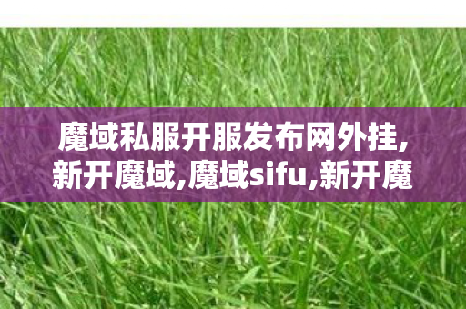 魔域私服开服发布网外挂,新开魔域,魔域sifu,新开魔域