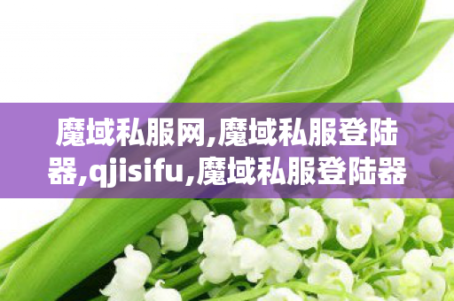 魔域私服网,魔域私服登陆器,qjisifu,魔域私服登陆器