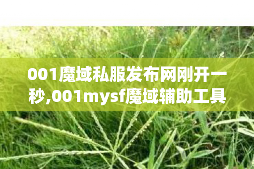 001魔域私服发布网刚开一秒,001mysf魔域辅助工具下载,魔域师傅,001mysf魔域辅助工具下载