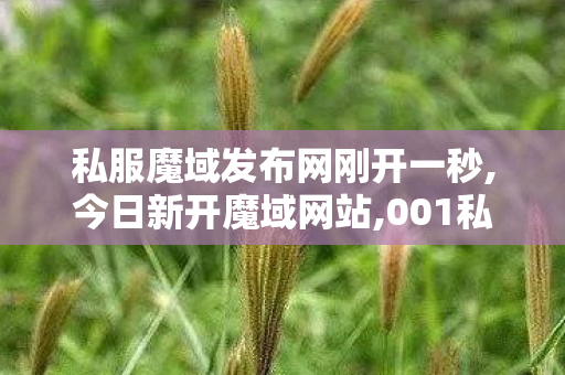 私服魔域发布网刚开一秒,今日新开魔域网站,001私服魔域发布网,今日新开魔域网站