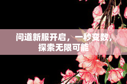 问道新服开启，一秒变数，探索无限可能