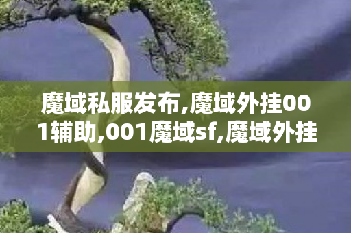 魔域私服发布,魔域外挂001辅助,001魔域sf,魔域外挂001辅助