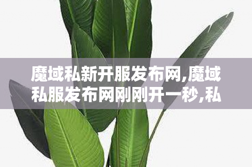 魔域私新开服发布网,魔域私服发布网刚刚开一秒,私服魔域发布网站,魔域私服发布网刚刚开一秒
