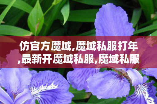 仿官方魔域,魔域私服打年,最新开魔域私服,魔域私服打年