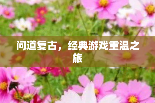 问道复古，经典游戏重温之旅