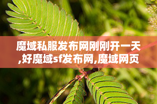 魔域私服发布网刚刚开一天,好魔域sf发布网,魔域网页版私服,好魔域sf发布网