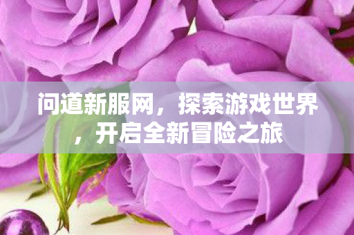 问道新服网，探索游戏世界，开启全新冒险之旅