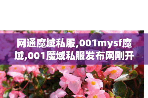 网通魔域私服,001mysf魔域,001魔域私服发布网刚开一秒,001mysf魔域