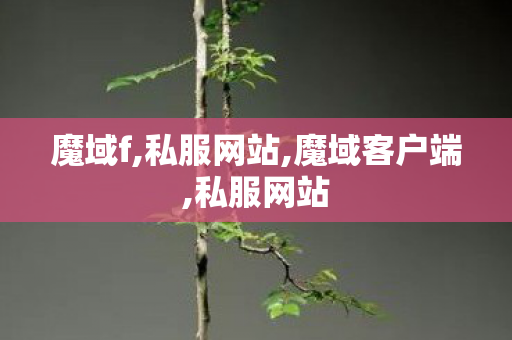魔域f,私服网站,魔域客户端,私服网站