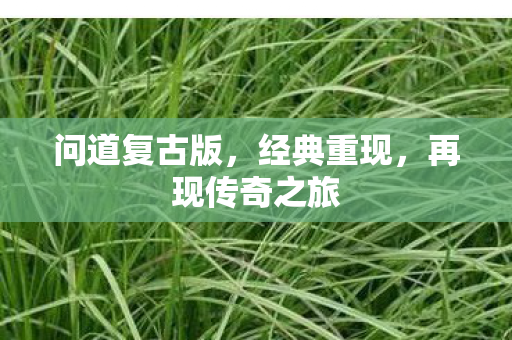 问道复古版，经典重现，再现传奇之旅