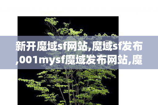 新开魔域sf网站,魔域sf发布,001mysf魔域发布网站,魔域sf发布