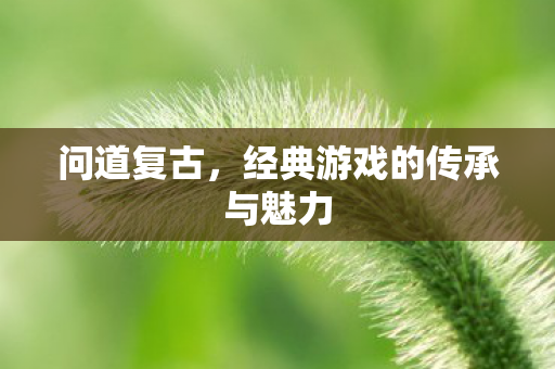 问道复古，经典游戏的传承与魅力