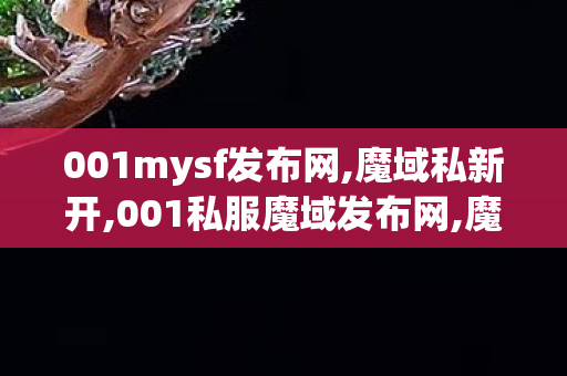 001mysf发布网,魔域私新开,001私服魔域发布网,魔域私新开
