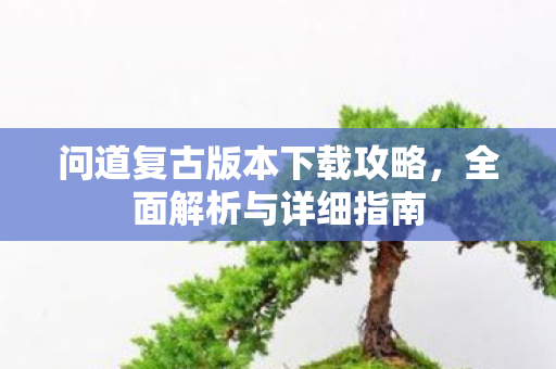 问道复古版本下载攻略，全面解析与详细指南