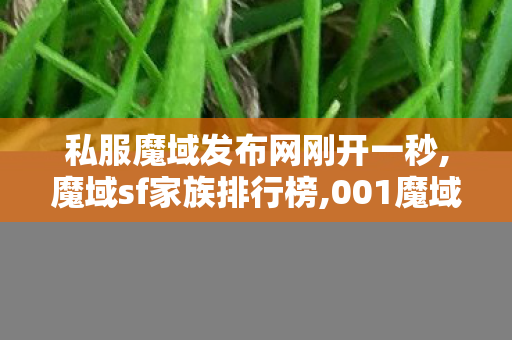私服魔域发布网刚开一秒,魔域sf家族排行榜,001魔域sf发布网,魔域sf家族排行榜