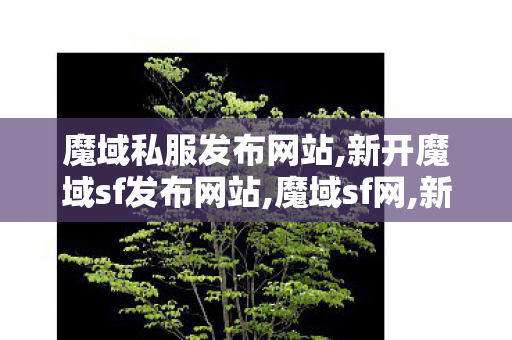 魔域私服发布网站,新开魔域sf发布网站,魔域sf网,新开魔域sf发布网站