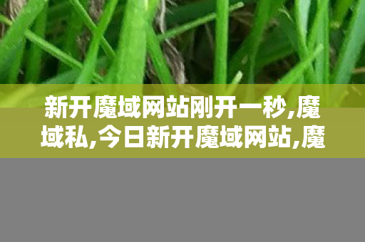 新开魔域网站刚开一秒,魔域私,今日新开魔域网站,魔域私