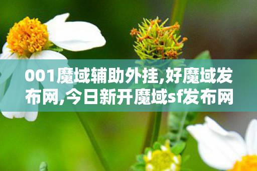 001魔域辅助外挂,好魔域发布网,今日新开魔域sf发布网站,好魔域发布网