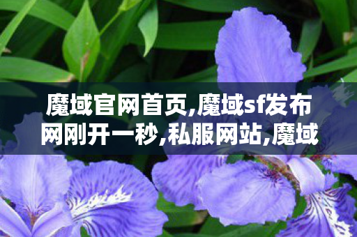 魔域官网首页,魔域sf发布网刚开一秒,私服网站,魔域sf发布网刚开一秒