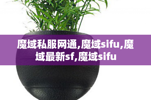 魔域私服网通,魔域sifu,魔域最新sf,魔域sifu