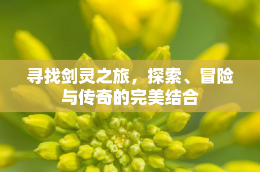 寻找剑灵之旅，探索、冒险与传奇的完美结合