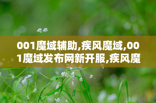 001魔域辅助,疾风魔域,001魔域发布网新开服,疾风魔域